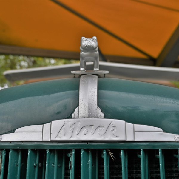 dsc_1911-(3)_optimized