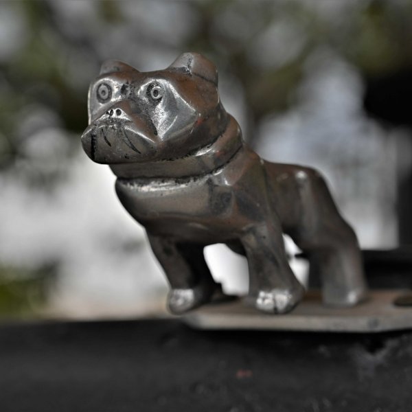 dsc_1915-(2)_optimized