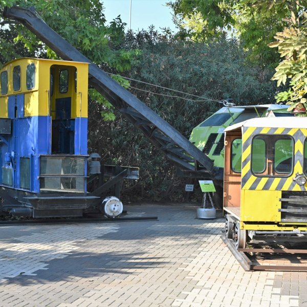 dsc_3136-(2)_optimized